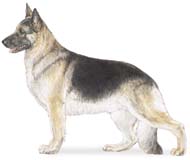 GSD