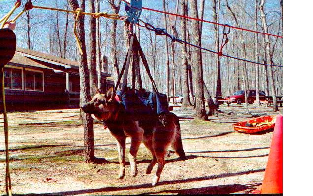Hannah Hanging around