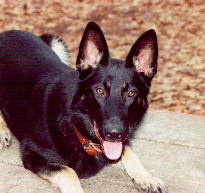 Quincy