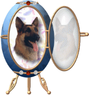 PicGSD